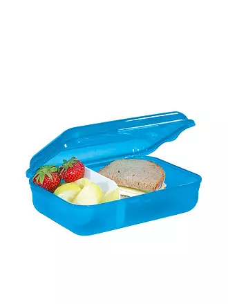 STEP BY STEP | Boîte de conservation - Boîte à lunch Ninja Kimo Vert | blau